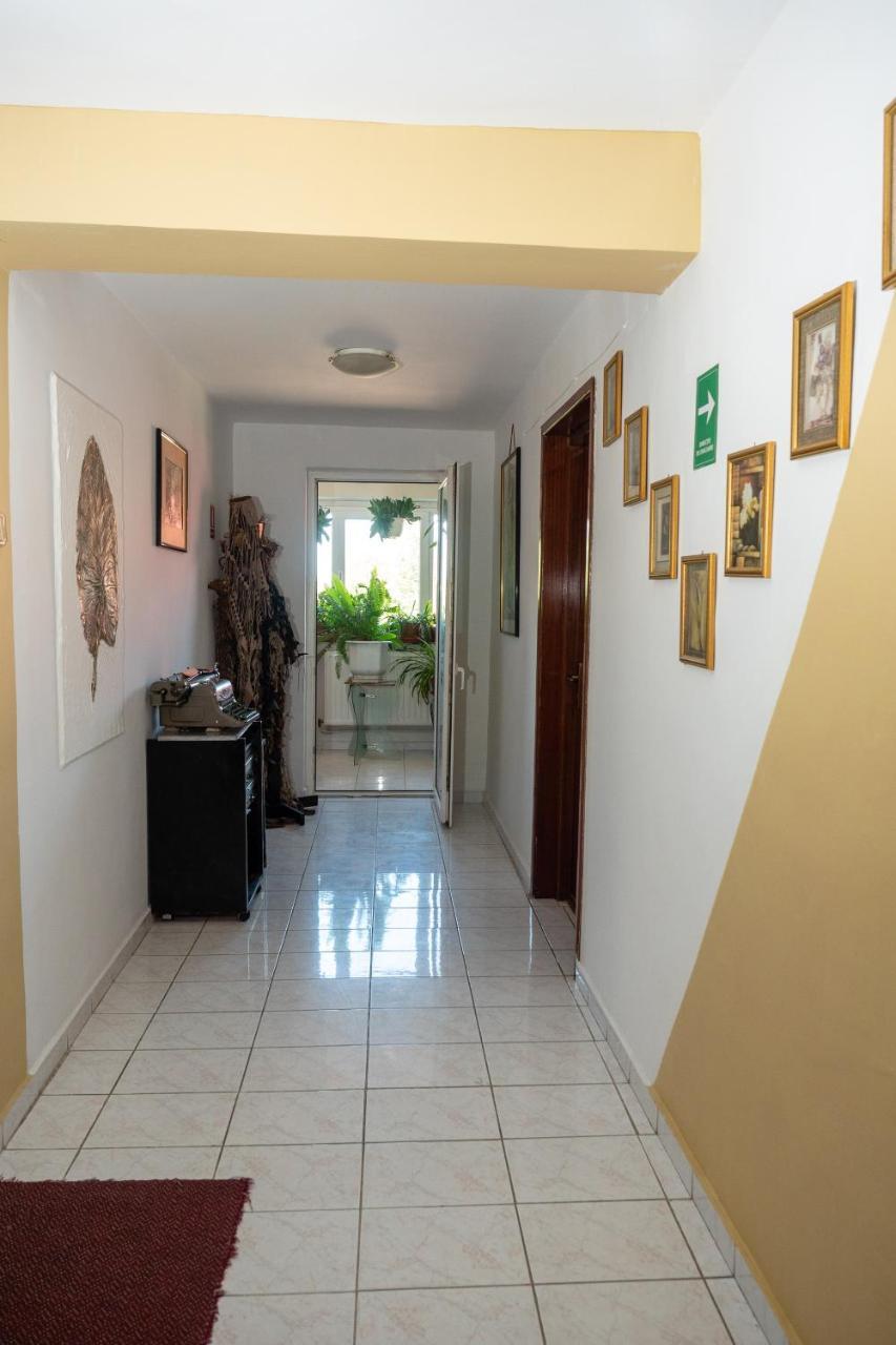 Pension Motanul Galanton Snagov Ngoại thất bức ảnh